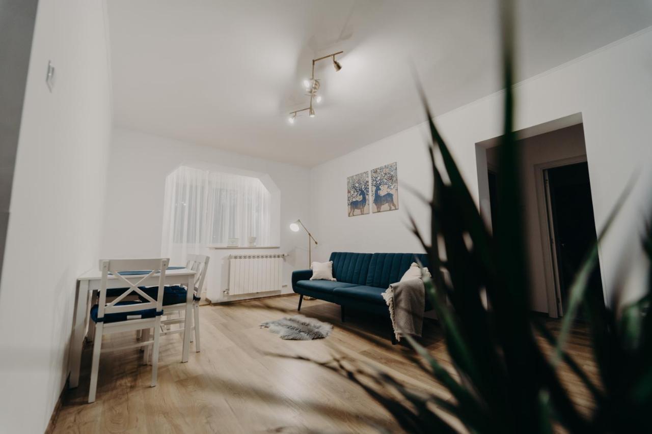 Apartamentul Albastru Vatra Dornei Exterior foto